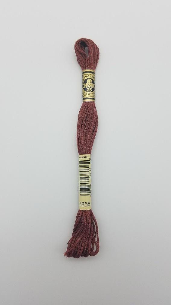 DMC 3858 - 6-Strand Floss - Rosewood Medium
