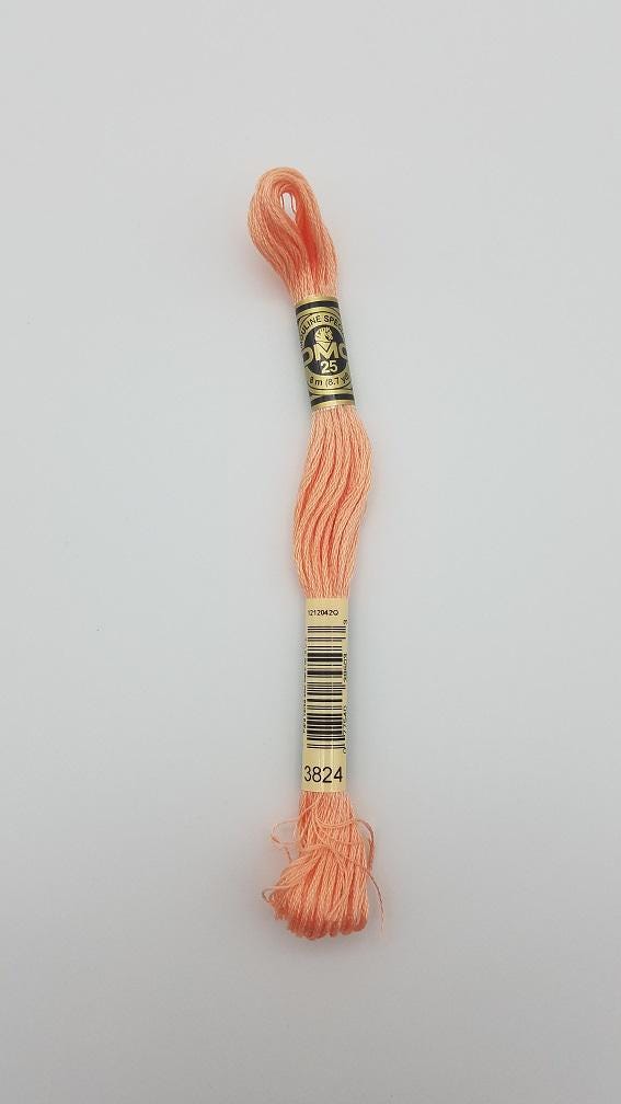 DMC 3824 - 6-Strand Floss - Apricot Light