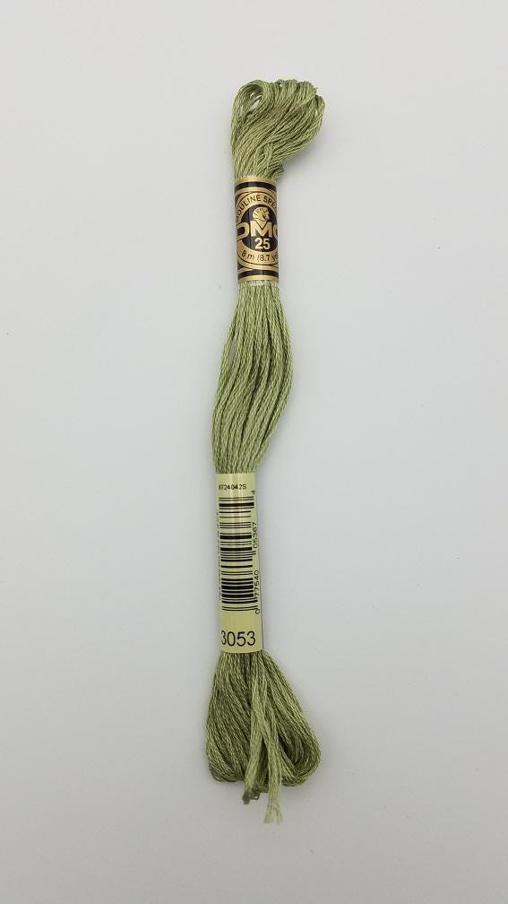 DMC 3053 - 6-Strand Floss - Green Gray