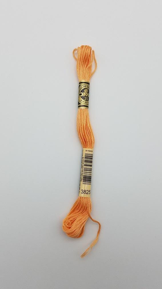 DMC 3825 - 6-Strand Floss - Pumpkin Pale