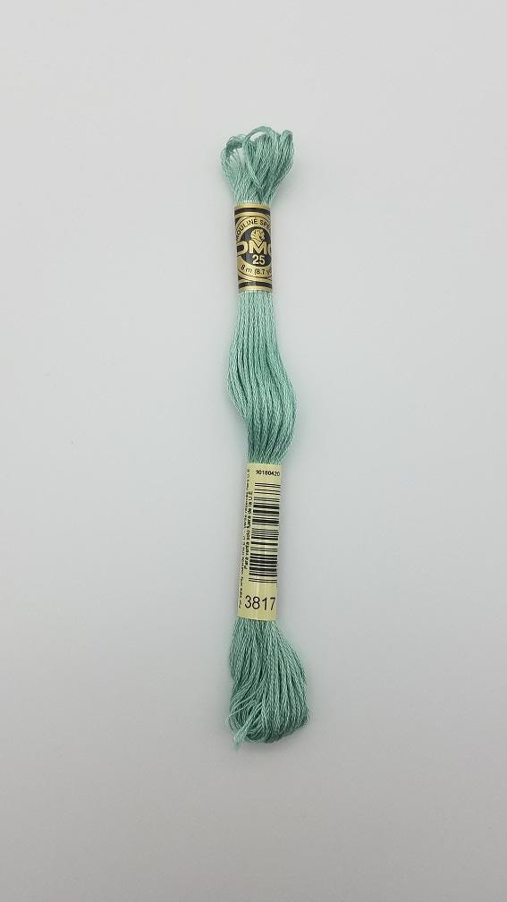 DMC 3817 - 6-Strand Floss - Celadon Green Light