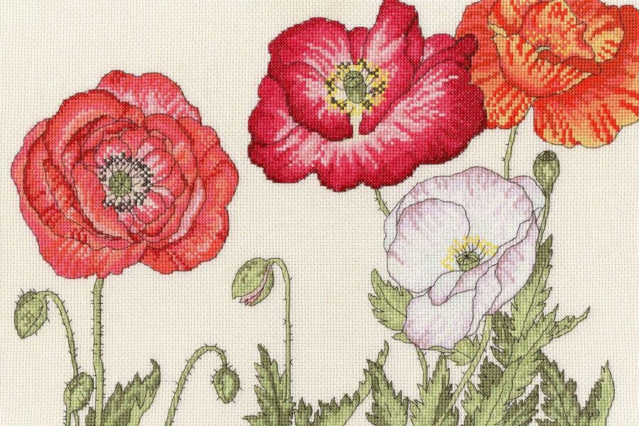 Poppy Blooms - Bothy Threads - Cross Stitch Kit