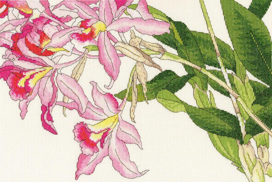 Orchid Blooms - Bothy Threads - Cross Stitch Kit